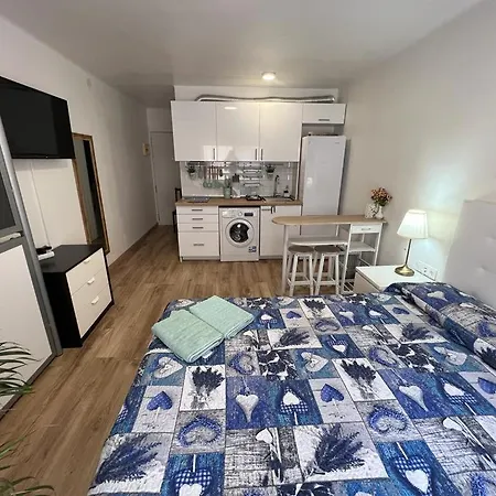 Roger Apartment *